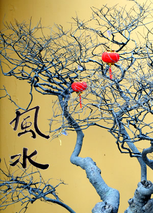 Feng Shui