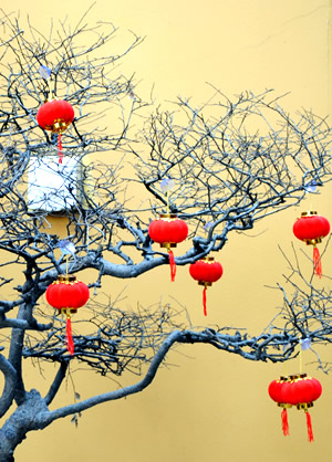Feng Shui