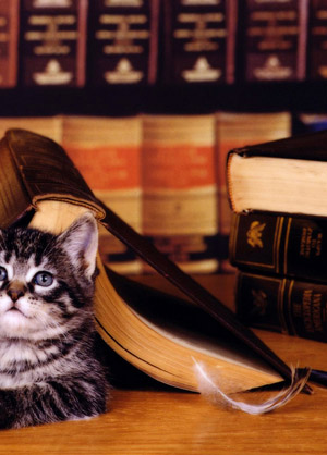 Libreria