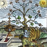 Astrologia - I Mali delle Eclissi