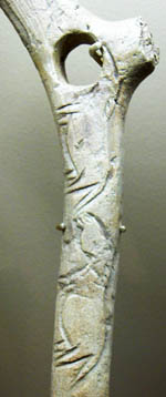 Bastone del Comando forato in osso di renna usato dai primitivi cacciatori come strumento radiestesico