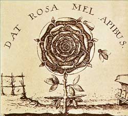 Dat Rosa Mel Apibus