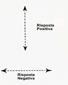 Radiestesia e Radionica - Movimenti lineari del pendolo