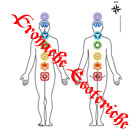 Sette Chakra Schema Radionico