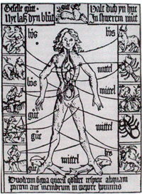 Lunario - raffigurazione dell’uomo zodiacale