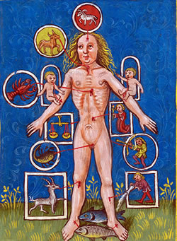 Clicca per ingrandire Uomo Zodiacale