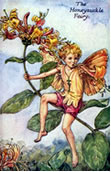 Feste & ricorrenze - Folletto Fairy sugge miele