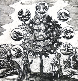 Alchimia - Albero dei sette metalli, Musaeum Hermeticum