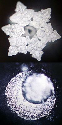 Orgone - Due cristalli d’acqua, uno armonico l&rsaltro disarmonico