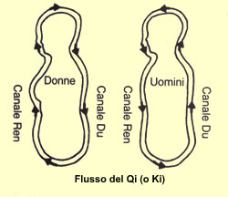 Radiestesia e Radionica - flusso del Qi nell’uomo e nella donna