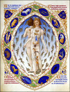 Lunario - Limbourg, uomo zodiacale, Très riches heures du duc de Berry