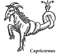 immagine del segno solare corrente