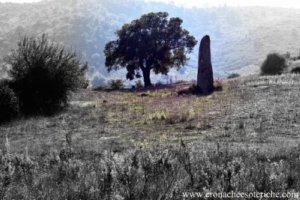 Menhir Tortoli