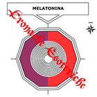 Melatonina Sonno Schema Radionico