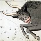 Segno Zodiacale Toro