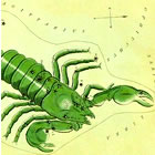 Segno Zodiacale Scorpione