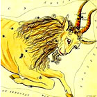 Segno Zodiacale Capricorno